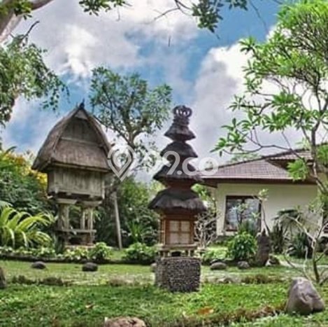 Siap Huni Rumah Mewah 7 Kamar di Denpasar Timur Dekat ke Mana Pun Siap Huni Rumah Mewah 7 Kamar di Denpasar Timur Dekat ke Mana Pun