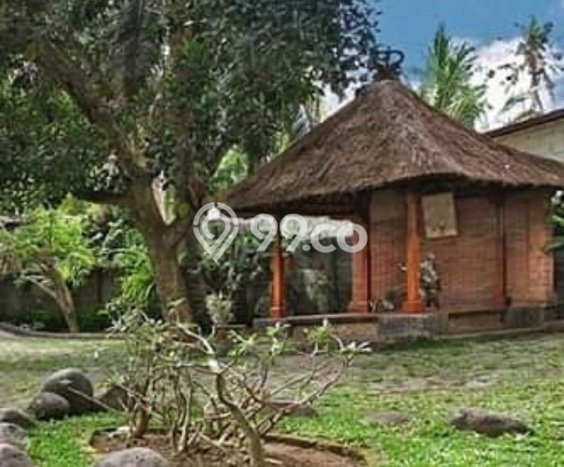 Siap Huni Rumah Mewah 7 Kamar di Denpasar Timur Dekat ke Mana Pun Siap Huni Rumah Mewah 7 Kamar di Denpasar Timur Dekat ke Mana Pun