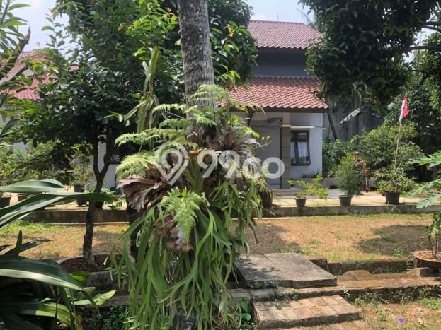 Dijual Rumah Premium dengan Fasilitas Sekitar Komplit di Cilandak, Jakarta Selatan Dijual Rumah Premium dengan Fasilitas Sekitar Komplit di Cilandak, Jakarta Selatan