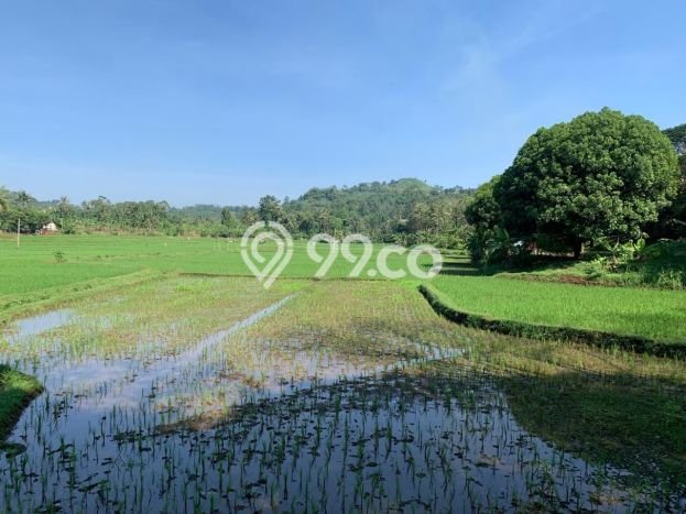 Untuk Dijual Tanah di Cilaku Cianjur Luas 270000m2 SHM Untuk Dijual Tanah di Cilaku Cianjur Luas 270000m2 SHM
