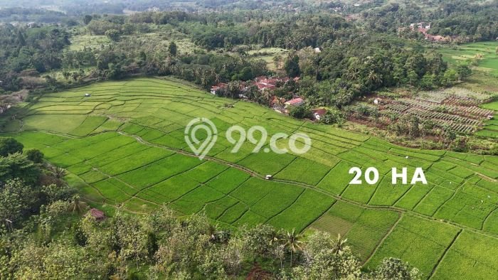 Untuk Dijual Tanah di Cilaku Cianjur Luas 270000m2 SHM Untuk Dijual Tanah di Cilaku Cianjur Luas 270000m2 SHM