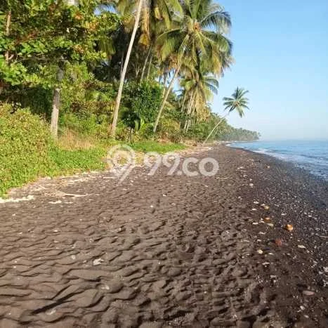 Jarang Ada! Tanah Kavling Disewakan di Buleleng 4600m2 Jarang Ada! Tanah Kavling Disewakan di Buleleng 4600m2