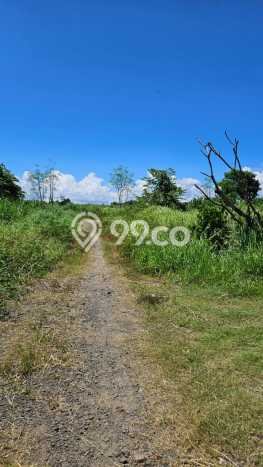 Dijual Tanah Lokasi Saba, Gianyar Seluas 70000m2 Dijual Tanah Lokasi Saba, Gianyar Seluas 70000m2