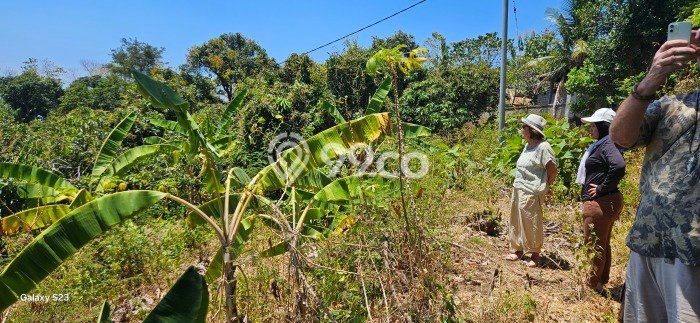 Kavling Tanah Lokasi Strategis di Kubutambahan, Buleleng Disewakan 8000m2 Kavling Tanah Lokasi Strategis di Kubutambahan, Buleleng Disewakan 8000m2