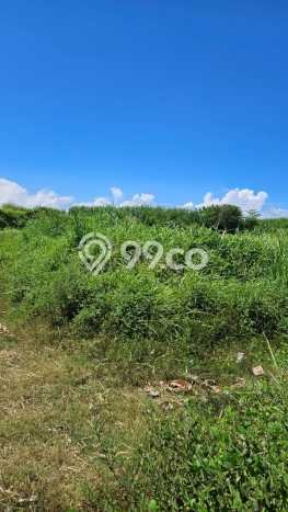 Dijual Tanah Lokasi Saba, Gianyar Seluas 70000m2 Dijual Tanah Lokasi Saba, Gianyar Seluas 70000m2