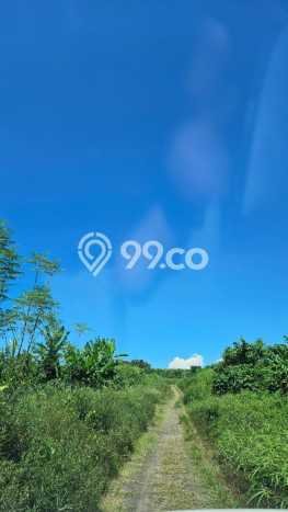 Dijual Tanah Lokasi Saba, Gianyar Seluas 70000m2 Dijual Tanah Lokasi Saba, Gianyar Seluas 70000m2