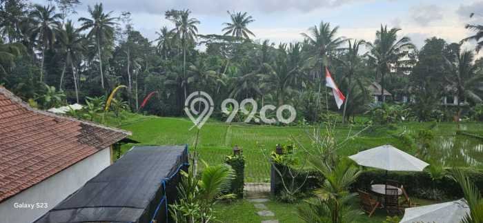 Rumah Nyaman area Ubud, 8 KT, Lokasi Strategis Rumah Nyaman area Ubud, 8 KT, Lokasi Strategis