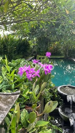 Dijual Hunian Mewah dengan Fasilitas Sekitar Komplit di Ubud, Gianyar Dijual Hunian Mewah dengan Fasilitas Sekitar Komplit di Ubud, Gianyar