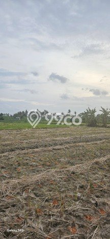 Disewakan Tanah di Gianyar, Luas 1000m2 Area Berkembang Disewakan Tanah di Gianyar, Luas 1000m2 Area Berkembang