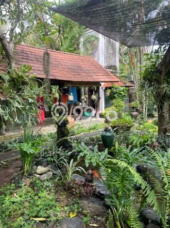 Rumah sewa siap pakai 3 KT di Saba, Gianyar Rumah sewa siap pakai 3 KT di Saba, Gianyar