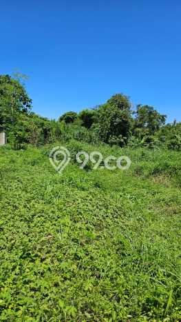 Dijual Tanah Lokasi Saba, Gianyar Seluas 70000m2 Dijual Tanah Lokasi Saba, Gianyar Seluas 70000m2