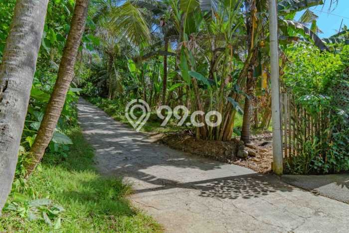 Tanah Siap Bangun Dijual di Gianyar Punya Luas 1735m2 Tanah Siap Bangun Dijual di Gianyar Punya Luas 1735m2
