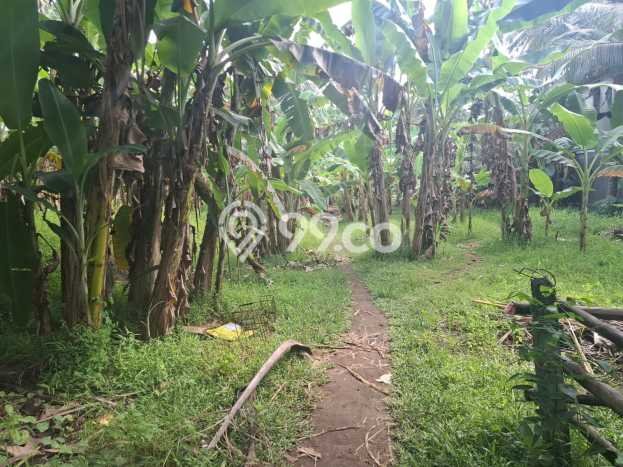 Tanah Kavling Dijual di Saba, Gianyar dengan Luas Tanah 1735m2 Tanah Kavling Dijual di Saba, Gianyar dengan Luas Tanah 1735m2
