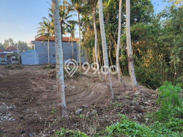 Tanah Dijual Area Strategis di Saba Gianyar 1700m2 Tanah Dijual Area Strategis di Saba Gianyar 1700m2