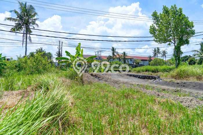 Tanah Kavling Dijual di Medahan, Gianyar dengan Luas Tanah 819m2 Tanah Kavling Dijual di Medahan, Gianyar dengan Luas Tanah 819m2