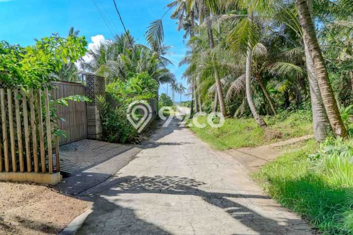 Tanah Siap Bangun Dijual di Gianyar Punya Luas 1735m2 Tanah Siap Bangun Dijual di Gianyar Punya Luas 1735m2