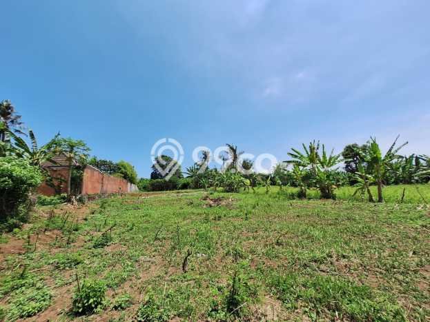 Tanah Kavling Dijual di Saba, Gianyar dengan Luas Tanah 2600m2 Tanah Kavling Dijual di Saba, Gianyar dengan Luas Tanah 2600m2