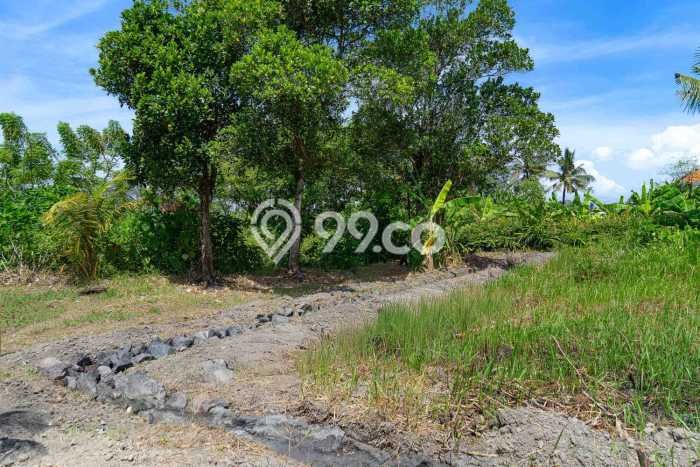 Tanah Kavling Dijual di Medahan, Gianyar dengan Luas Tanah 819m2 Tanah Kavling Dijual di Medahan, Gianyar dengan Luas Tanah 819m2