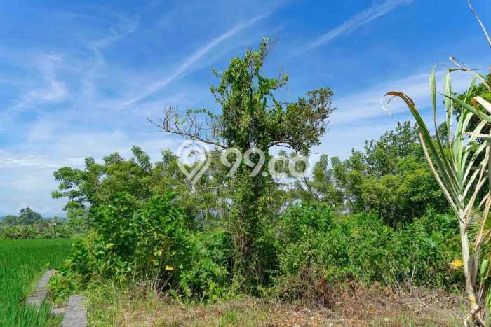 Tanah Kavling Dijual di Medahan, Gianyar dengan Luas Tanah 819m2 Tanah Kavling Dijual di Medahan, Gianyar dengan Luas Tanah 819m2