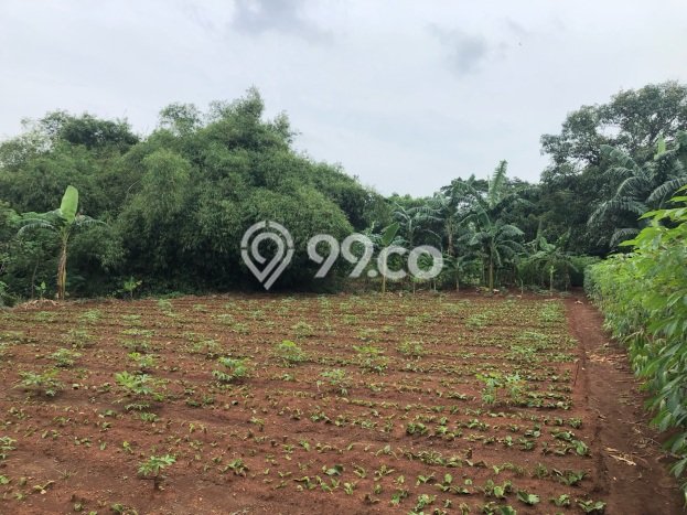 Tanah Dijual Lokasi Mustikajaya, Bekasi Luas 140000m2 Legalitas Aman Tanah Dijual Lokasi Mustikajaya, Bekasi Luas 140000m2 Legalitas Aman