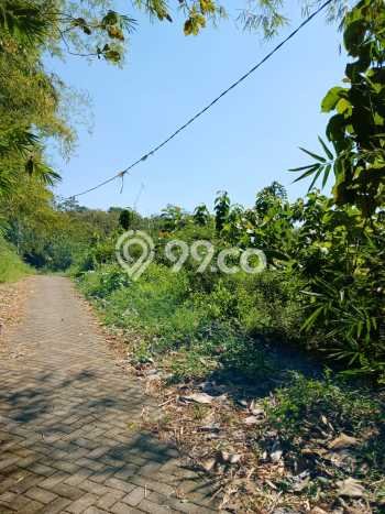 Lahan Kosong Dijual di Gunung Pati, Semarang, Luas 10627m2 Area Strategis Lahan Kosong Dijual di Gunung Pati, Semarang, Luas 10627m2 Area Strategis