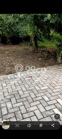 Kavling Tanah untuk Dijual di Mangunsari, Semarang, Luas 1998m2 Kavling Tanah untuk Dijual di Mangunsari, Semarang, Luas 1998m2