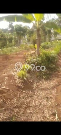 Tanah Kavling untuk Dijual di Gunung Pati Semarang 2700m2 Tanah Kavling untuk Dijual di Gunung Pati Semarang 2700m2