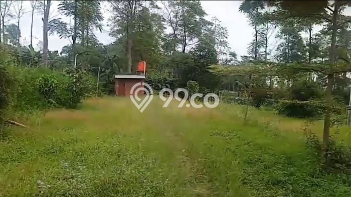 Dijual Tanah Lokasi Kopeng, Salatiga Seluas 1700m2 Dijual Tanah Lokasi Kopeng, Salatiga Seluas 1700m2