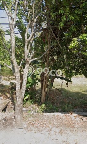 Tanah Kosong Dijual di Ngawi dengan Area 1674m2 Tanah Kosong Dijual di Ngawi dengan Area 1674m2