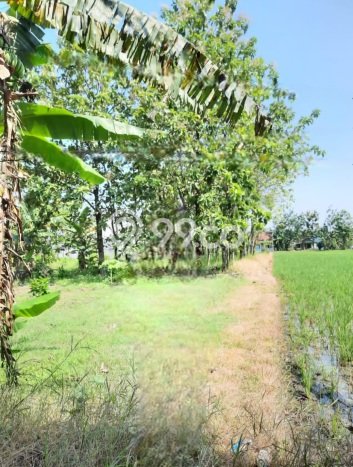 Tanah Kosong Dijual di Ngawi dengan Area 1674m2 Tanah Kosong Dijual di Ngawi dengan Area 1674m2