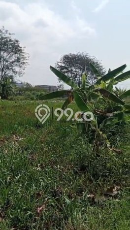Tanah Dijual Lokasi Tembalang, Semarang Luas 1500m2 Legalitas Aman Tanah Dijual Lokasi Tembalang, Semarang Luas 1500m2 Legalitas Aman