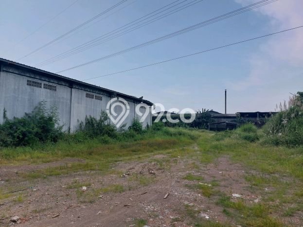 Disewakan Gudang di Kawasan Ramai Muktiharjo Luas 500m2 Disewakan Gudang di Kawasan Ramai Muktiharjo Luas 500m2