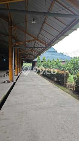 Gudang Bagus Dijual di Kendal Kendal Strategis Cocok untuk Kembangkan Bisnis Gudang Bagus Dijual di Kendal Kendal Strategis Cocok untuk Kembangkan Bisnis