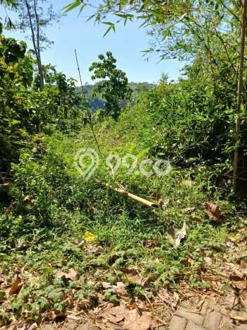 Lahan Kosong Dijual di Gunung Pati, Semarang, Luas 10627m2 Area Strategis Lahan Kosong Dijual di Gunung Pati, Semarang, Luas 10627m2 Area Strategis