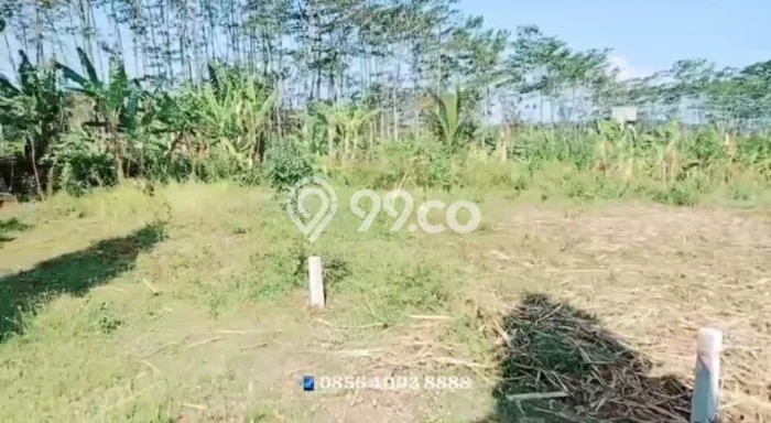 Lahan Kosong Dijual di Semarang dengan Area 7000m2 Lahan Kosong Dijual di Semarang dengan Area 7000m2