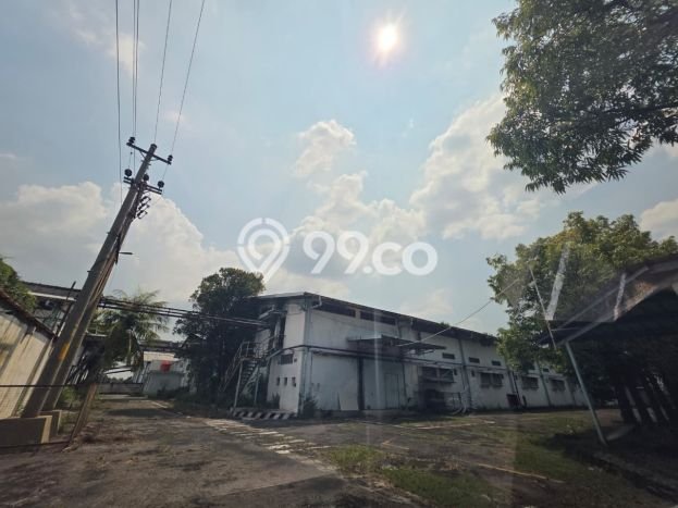 Unit Gudang disewakan di Sragen Sragen dengan LT 16000m2 / LB 8000m2 Unit Gudang disewakan di Sragen Sragen dengan LT 16000m2 / LB 8000m2