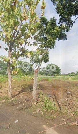 Tanah Dijual Lokasi Tembalang, Semarang Luas 1500m2 Legalitas Aman Tanah Dijual Lokasi Tembalang, Semarang Luas 1500m2 Legalitas Aman