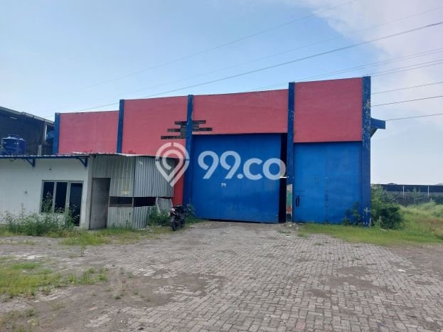 Disewakan Gudang di Kawasan Ramai Muktiharjo Luas 500m2 Disewakan Gudang di Kawasan Ramai Muktiharjo Luas 500m2