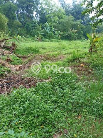 Kavling Tanah untuk Dijual di Mangunsari, Semarang, Luas 1998m2 Kavling Tanah untuk Dijual di Mangunsari, Semarang, Luas 1998m2