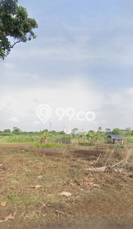 Tanah Dijual Lokasi Tembalang, Semarang Luas 1500m2 Legalitas Aman Tanah Dijual Lokasi Tembalang, Semarang Luas 1500m2 Legalitas Aman