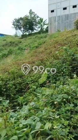 Tanah Dijual Lokasi Gunung Pati, Semarang dengan Luas Tanah 5767m2 dan Status SHM Tanah Dijual Lokasi Gunung Pati, Semarang dengan Luas Tanah 5767m2 dan Status SHM