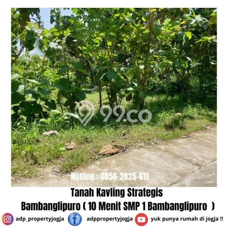 Tanah Kavling Dijual di Bantul dengan Spesifikasi 107m2 Tanah Kavling Dijual di Bantul dengan Spesifikasi 107m2