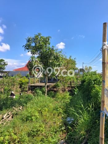 Tanah untuk Dijual di Pakis Malang Luas 500m2 Tanah untuk Dijual di Pakis Malang Luas 500m2