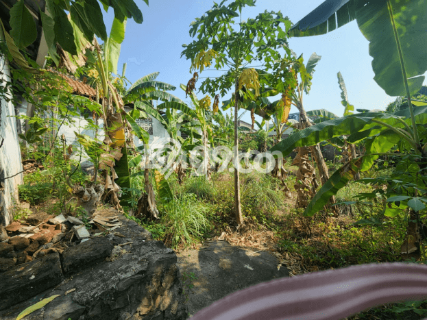 Rumah Elit Modern Tanpa Renovasi di Jatingaleh Semarang Rumah Elit Modern Tanpa Renovasi di Jatingaleh Semarang