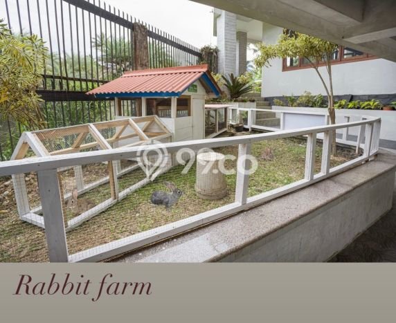 Vila Kawasan Cisarua, Area 1600m2m², Lingkungan Tenang untuk hunian Vila Kawasan Cisarua, Area 1600m2m², Lingkungan Tenang untuk hunian