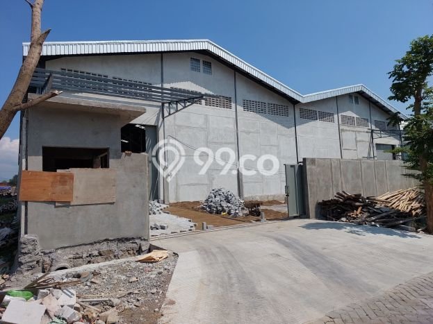 Area Strategis! Disewakan Gudang Lokasi Ngaliyan, Semarang Cocok untuk Bisnis Area Strategis! Disewakan Gudang Lokasi Ngaliyan, Semarang Cocok untuk Bisnis