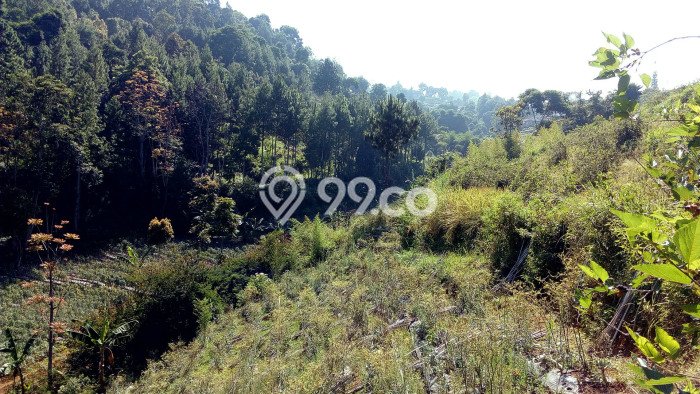 Tanah Dijual Area Strategis di Dago Pakar Bandung 13700m2 Tanah Dijual Area Strategis di Dago Pakar Bandung 13700m2