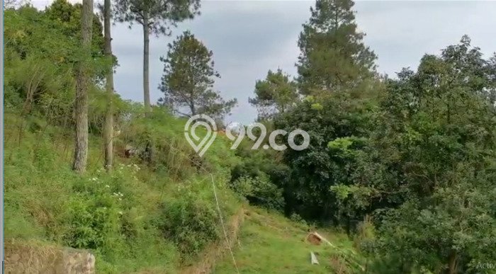 Tanah Dijual Area Strategis di Dago Bandung 5500m2 Tanah Dijual Area Strategis di Dago Bandung 5500m2