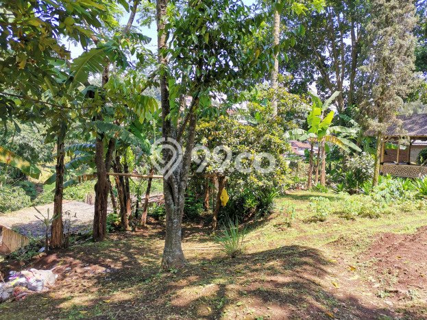 KESEMPATAN EMAS! Rumah area Coblong, Bandung, Luas 2800m2m² LB 800m2m² KESEMPATAN EMAS! Rumah area Coblong, Bandung, Luas 2800m2m² LB 800m2m²
