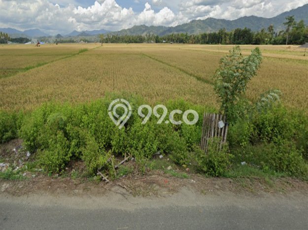 Tanah Dijual Area Strategis di Toto Utara Gorontalo 10000m2 Tanah Dijual Area Strategis di Toto Utara Gorontalo 10000m2